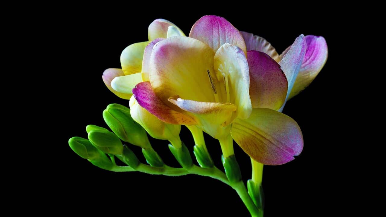 Image for read more article ''