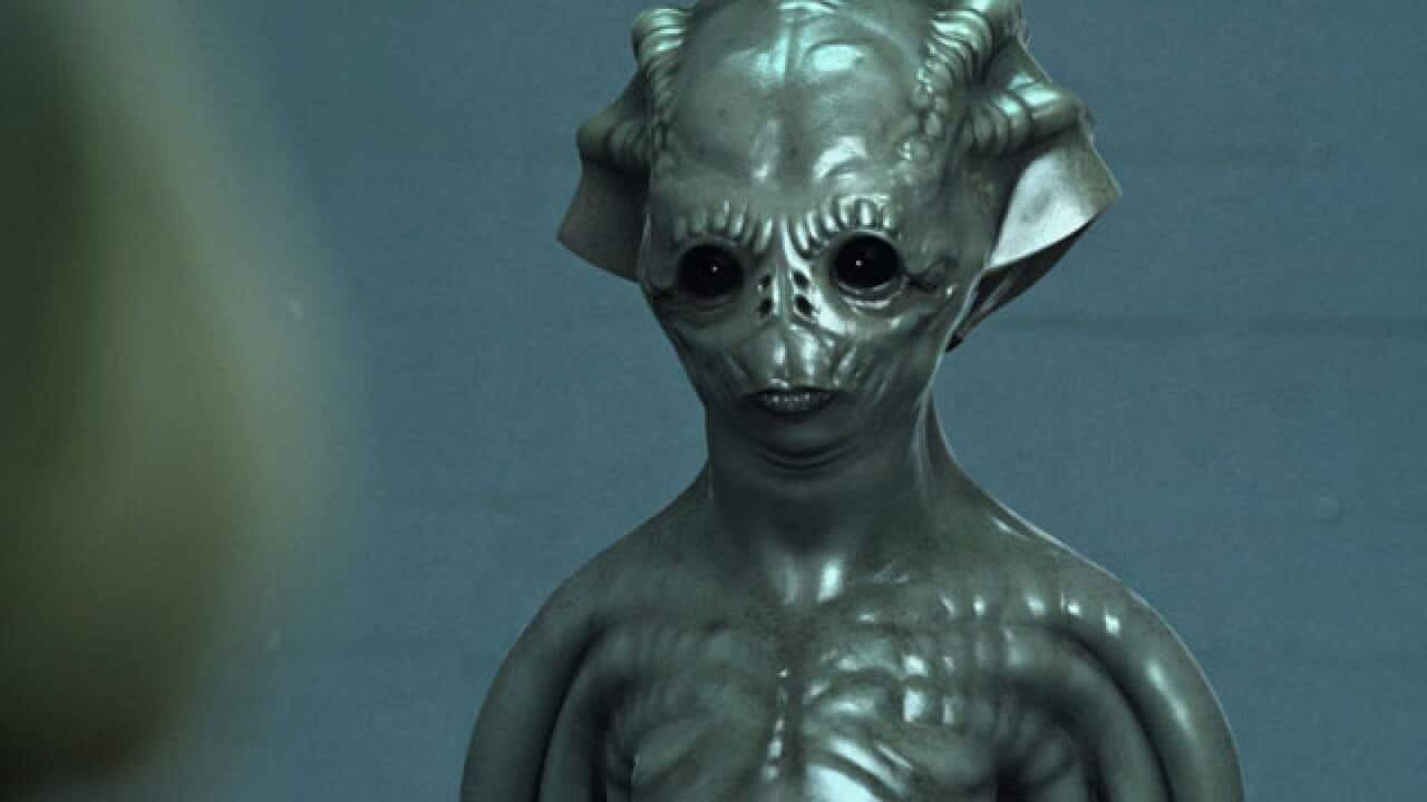 The-Arrival-of-Wang_640_722823568