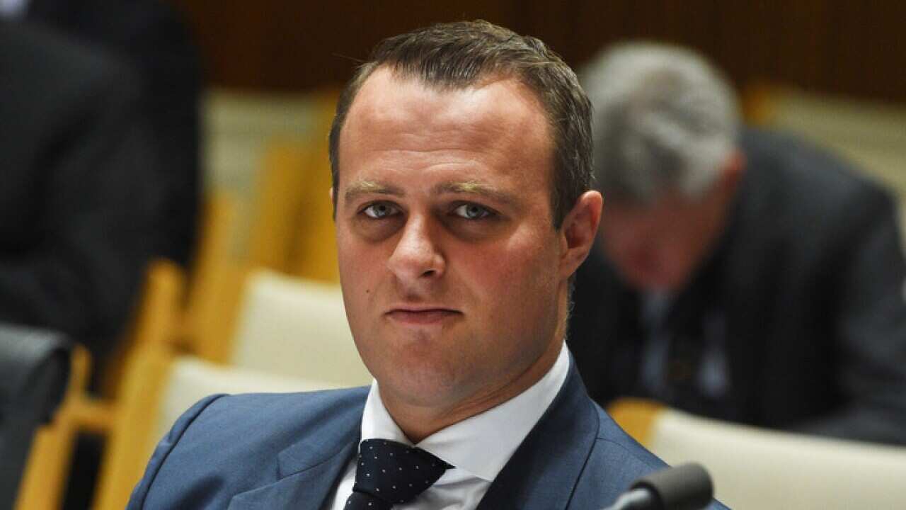 Tim Wilson