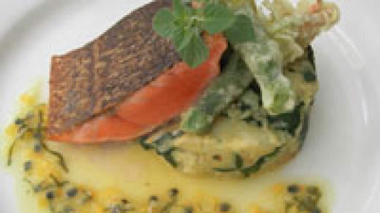 Salmon