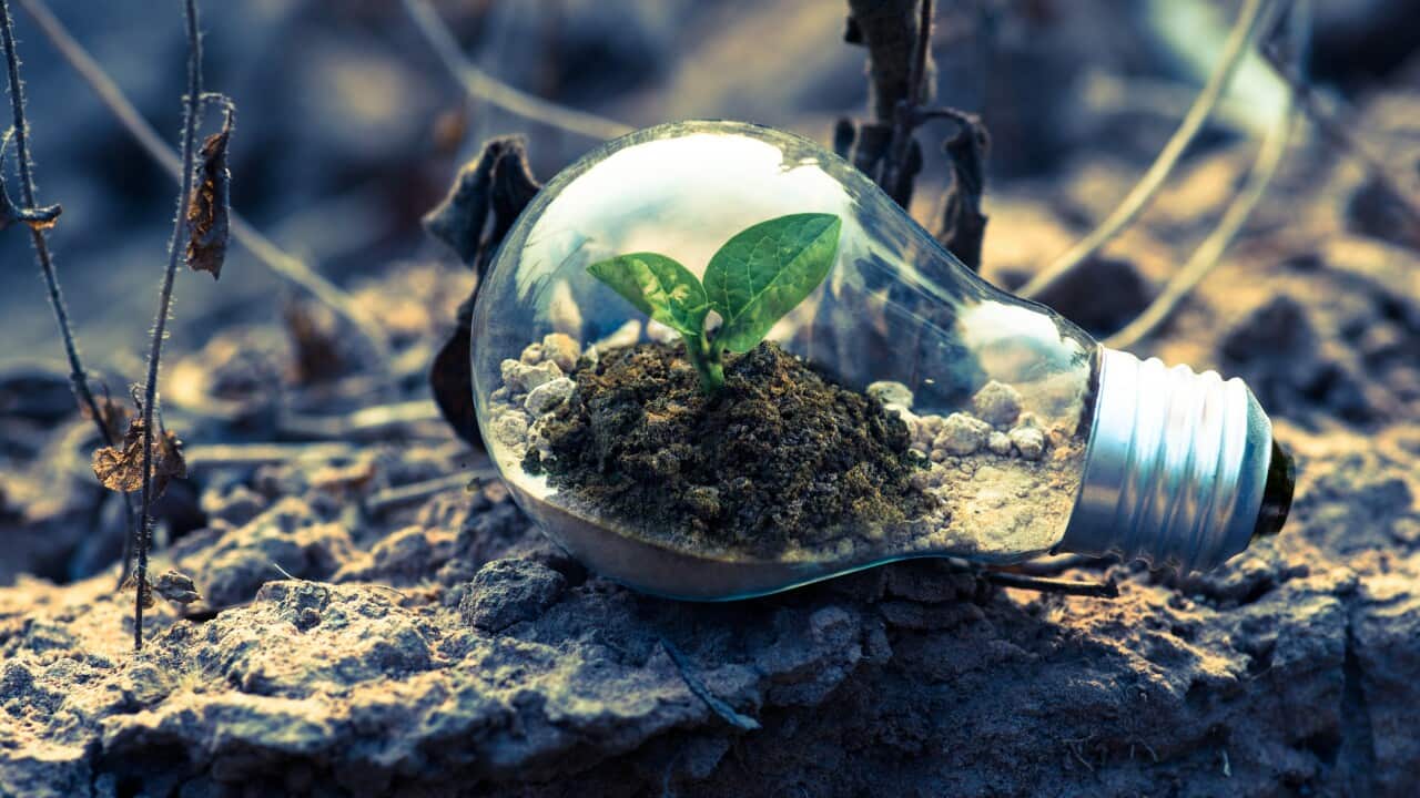 Na sequência de um novo relatório sobre alterações climáticas, o líder dos verdes, Adam Bandt, acusa o governo federal de piorar a situação climática.