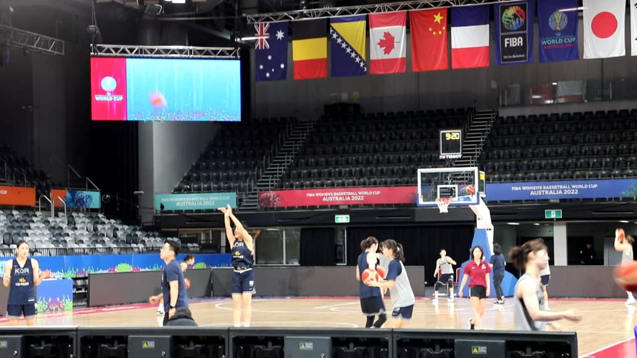 농구 월드컵 1.jpg