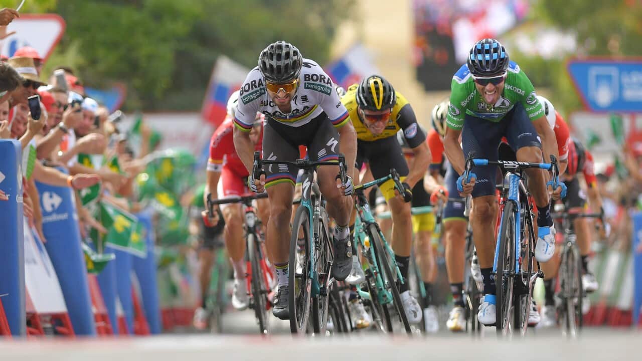 Alejandro Valverde, Movistar, Vuelta a España