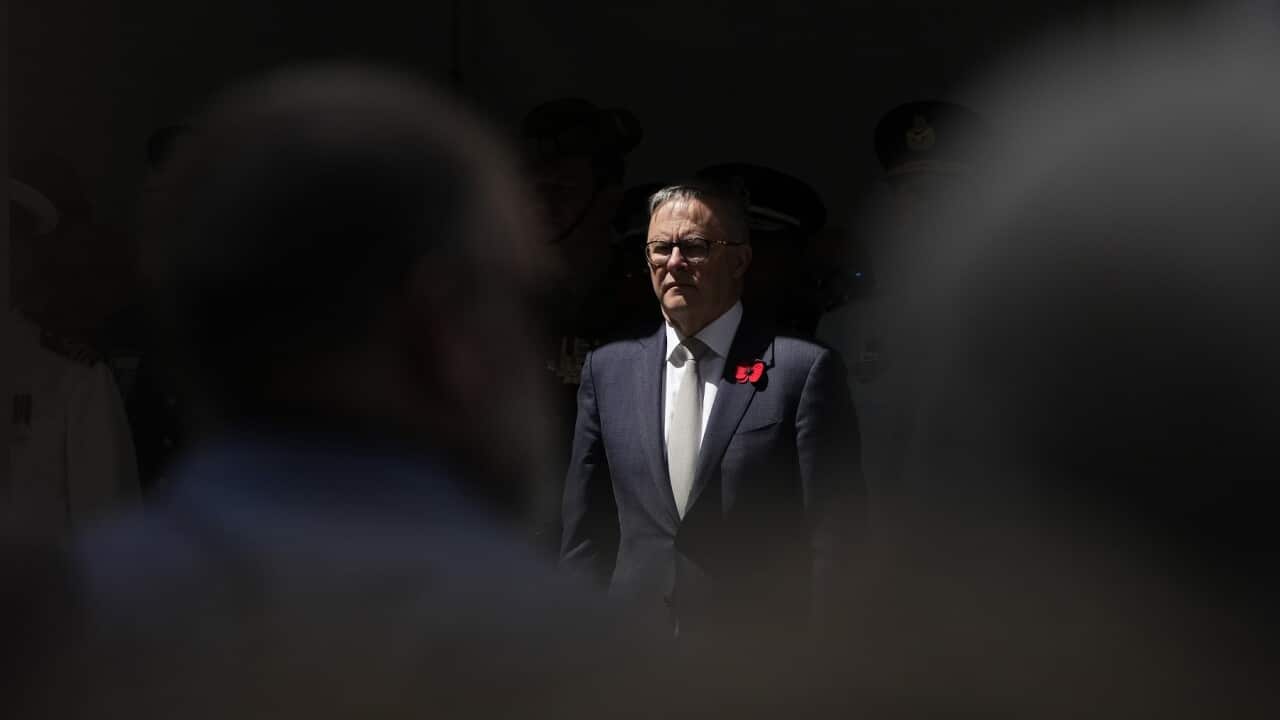 Prime Minister Anthony Albanese attends Remembrance Day ceremonies in Sydney