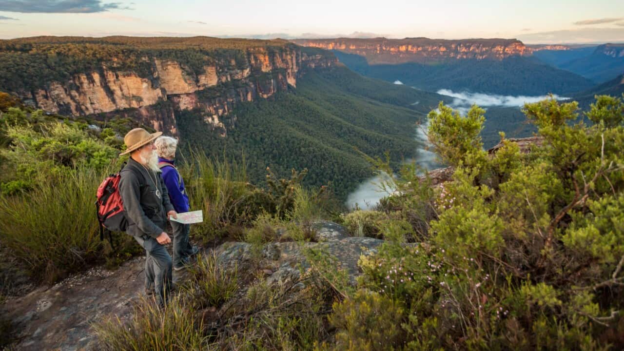 settlement guide:Bush walking