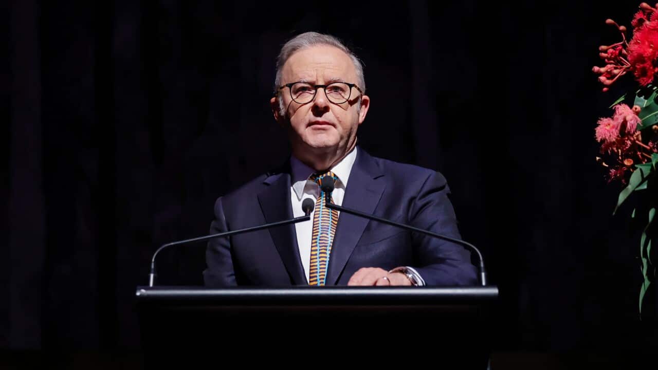 Image for read more article 'READ MORE'