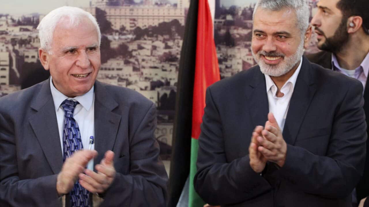 hamas_palestine_aap.jpg