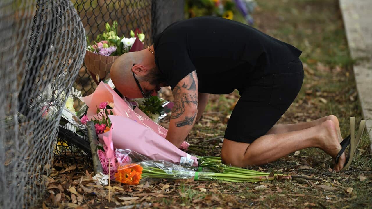 Sydney killing, road accident