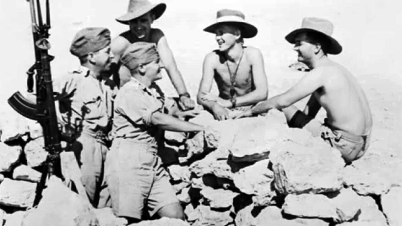 rats_tubruk_L_sbsradio_1066383606