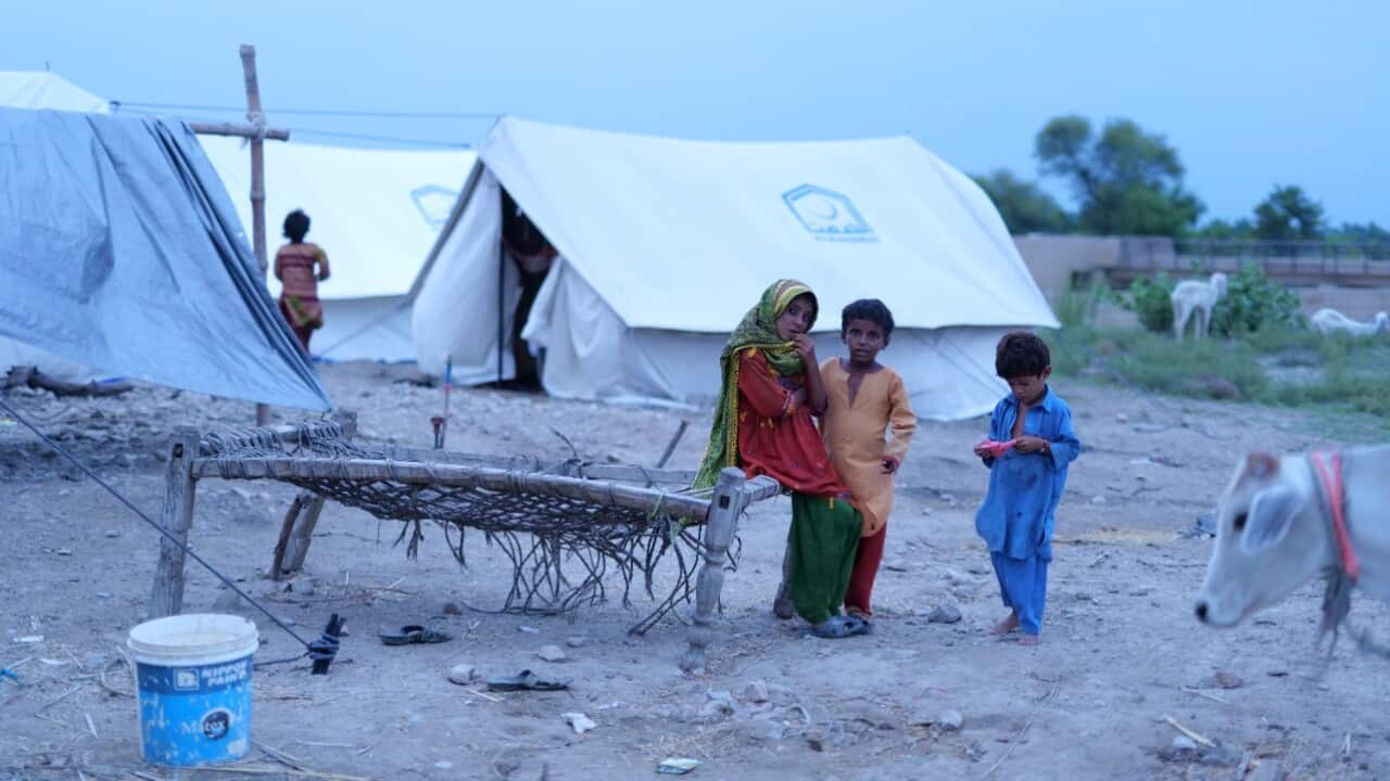 Image for read more article 'Also Know'