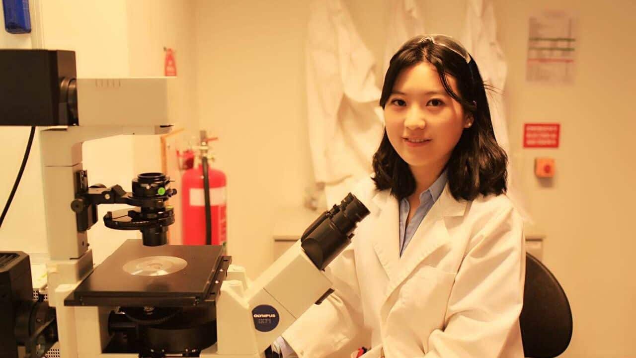 Image for read more article ''