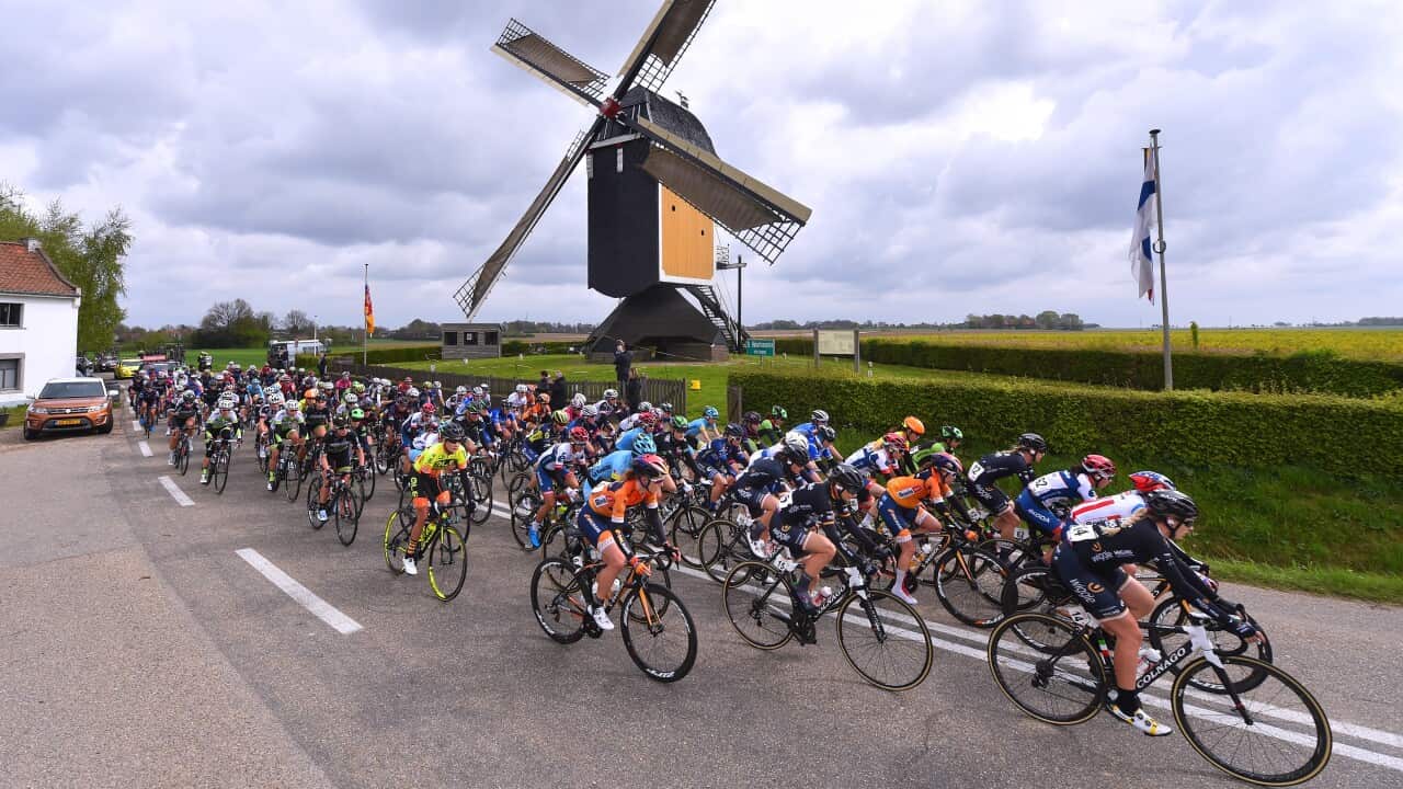 Amstel Gold Race 2017 (Getty)