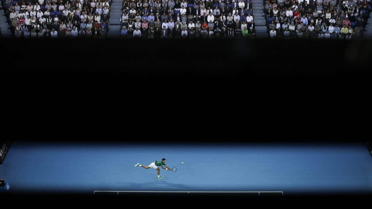Novak Djokovic at the Australian Open