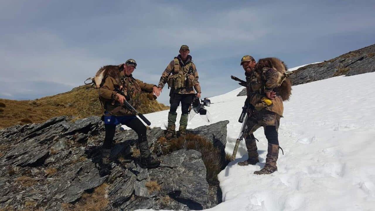 Hunting Aotearoa