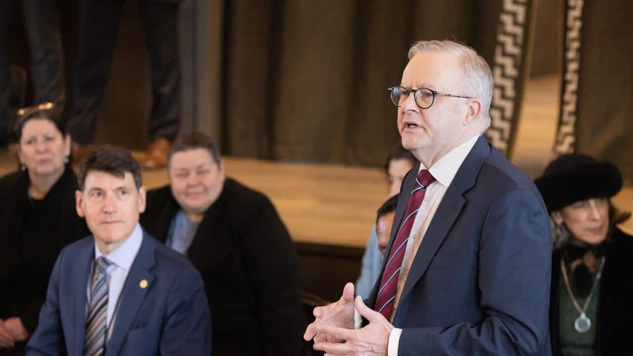 Anthony Albanese standing to speak to a group of people while in new Zealand.