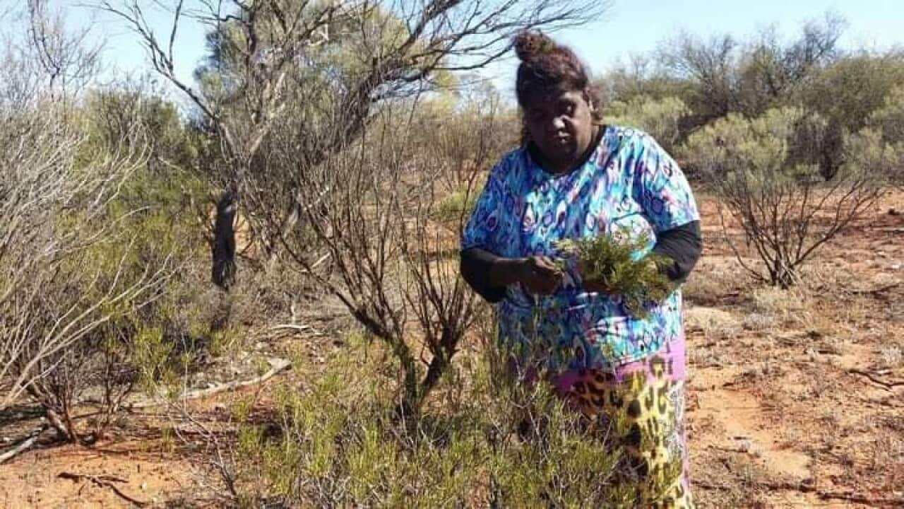 Image for read more article ''