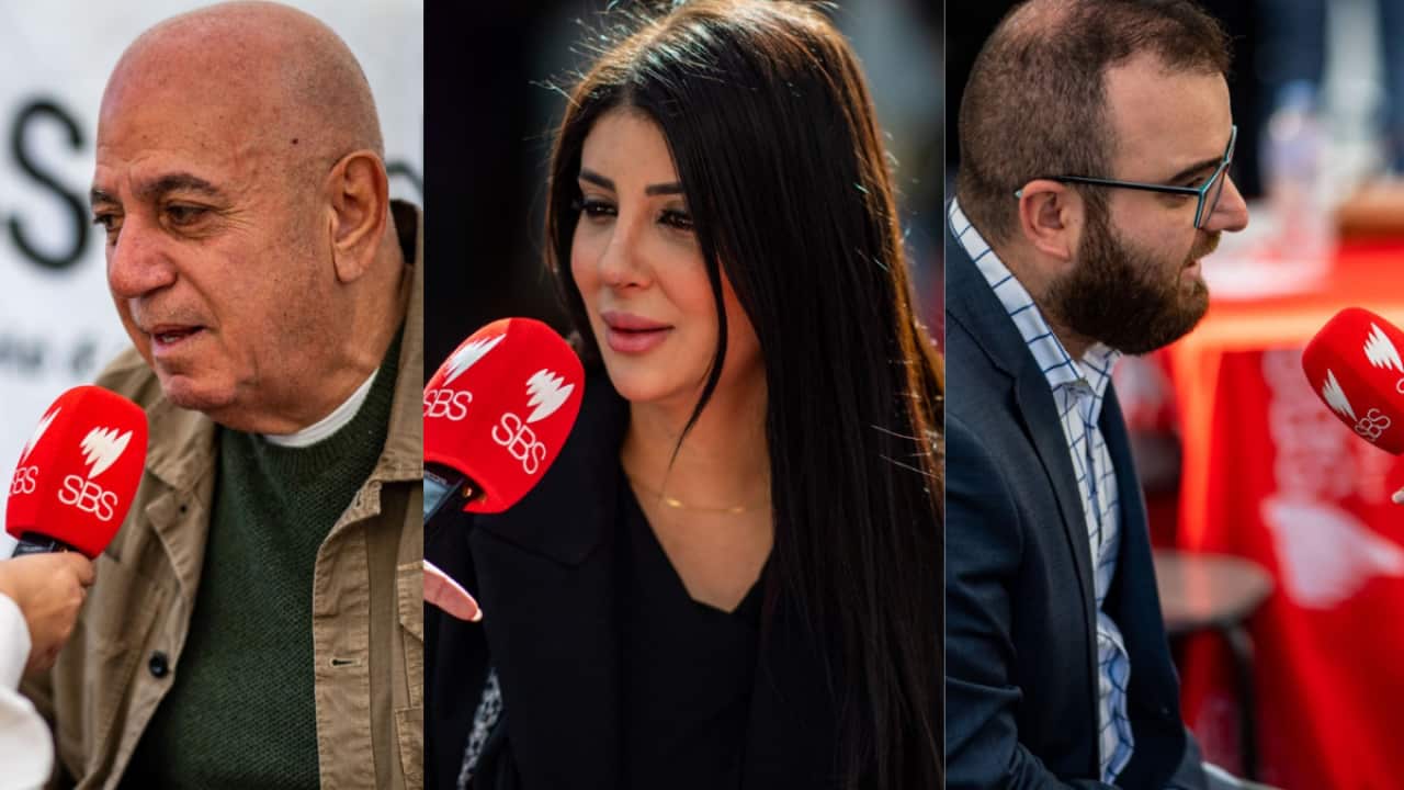 بيير إسبر وزارا الرشيدي وباسم شمعون