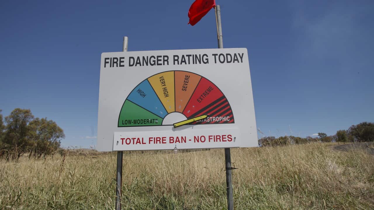 BUSHFIRES NSW