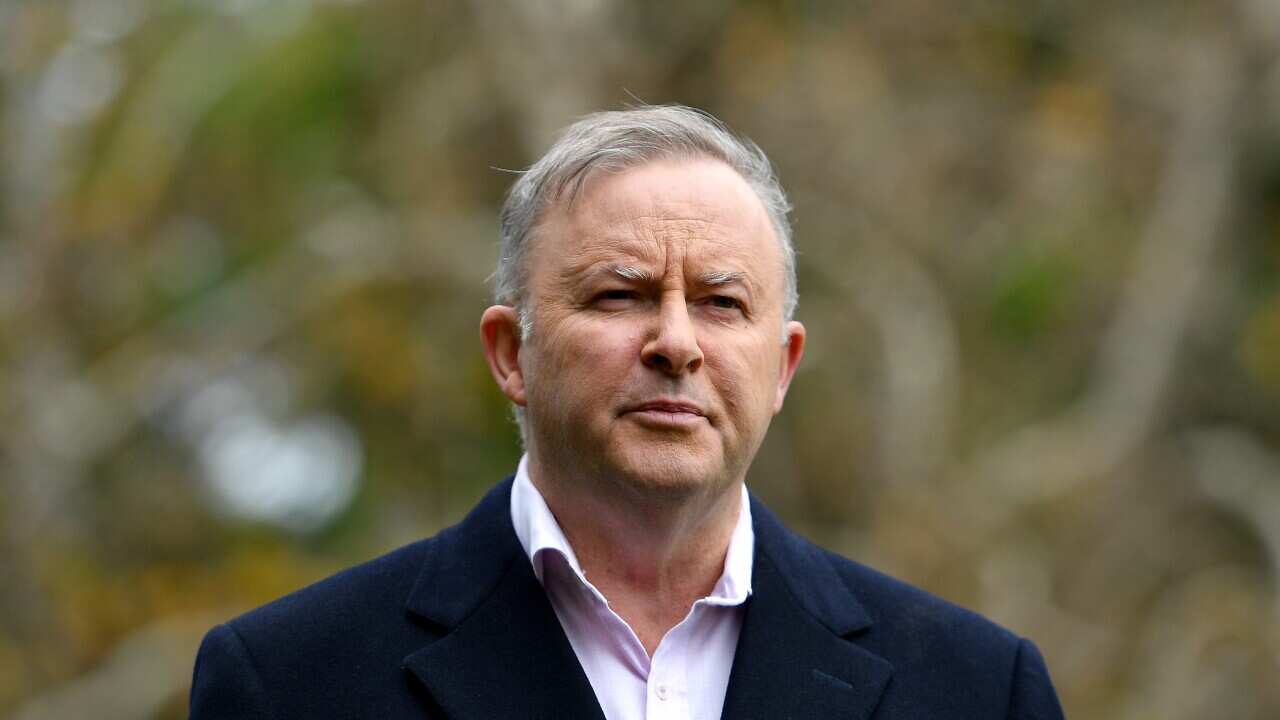 Opposition Leader Anthony Albanese addresses media in Sydney, Friday, May 22, 2020. (AAP Image/Dan Himbrechts) NO ARCHIVING