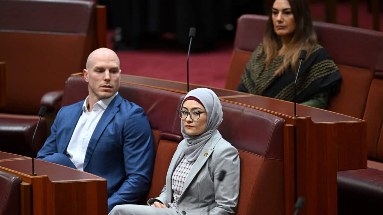 SENATE PALESTINE MOTION