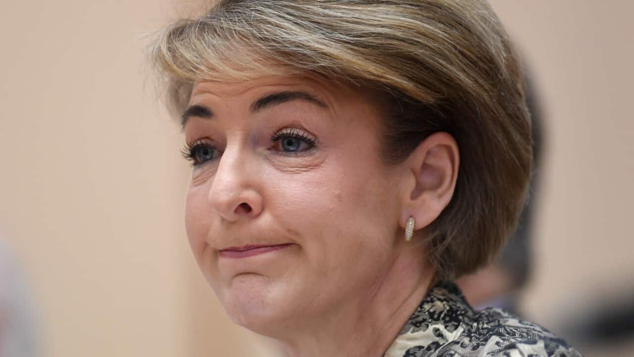 Australian Employment Minister Michaelia Cash speaks during Senate estimate hearings at Parliament House in Canberra, Thursday, October 26, 2017. (AAP Image/Lukas Coch) NO ARCHIVING