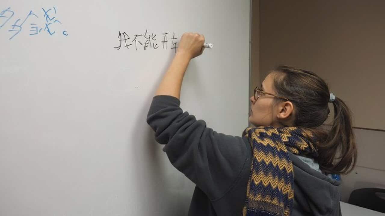 A student learns to write Chinese calligraphy