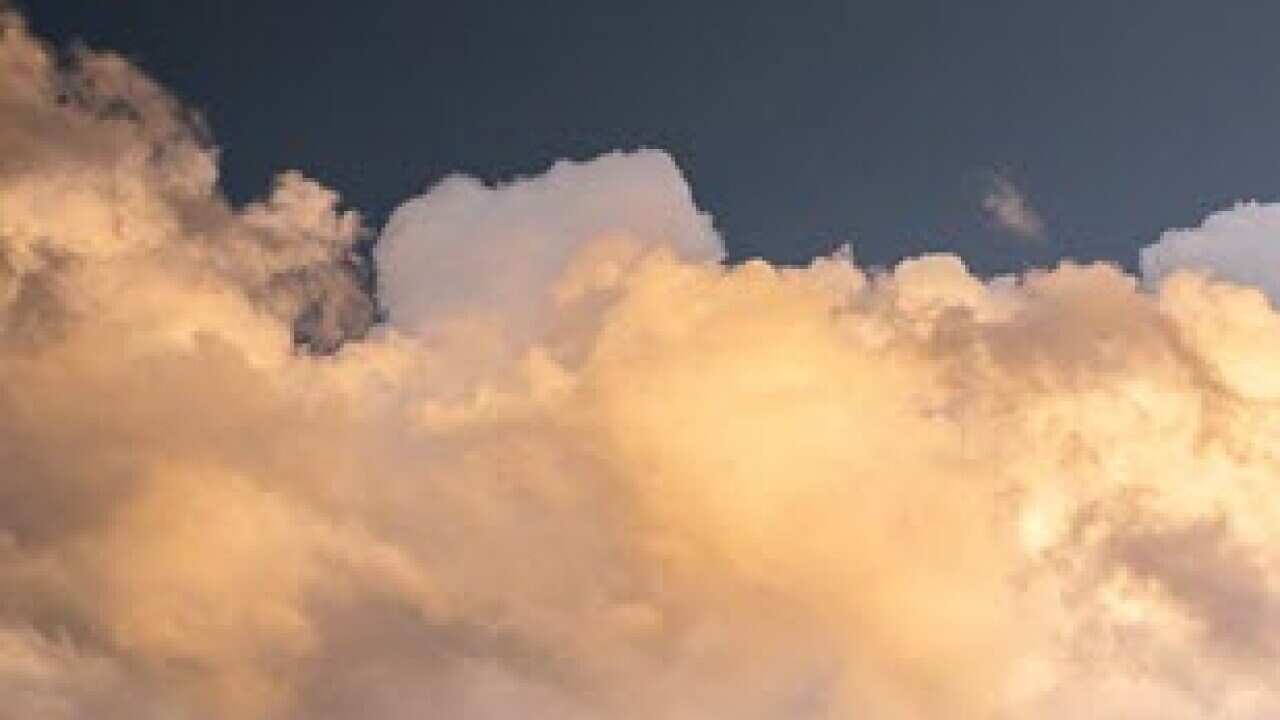 Photo by Raychel Sanner on Unsplash