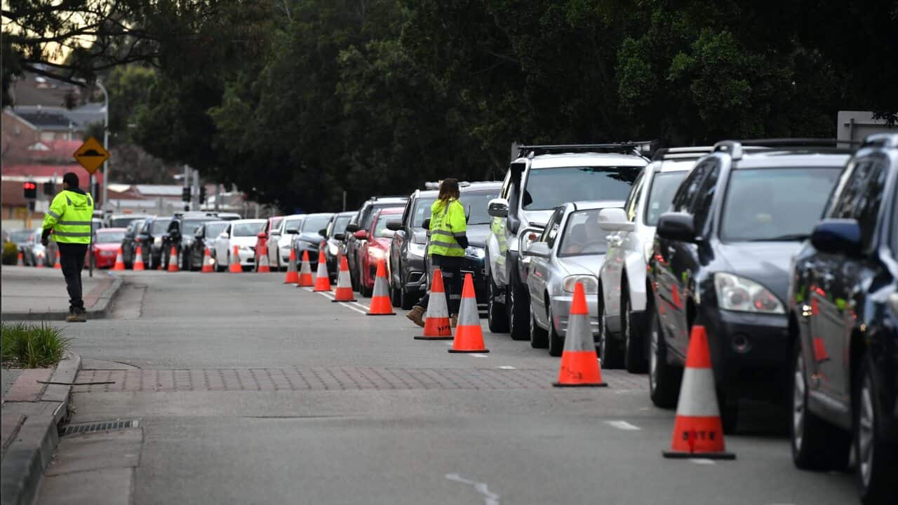 Long queues of cars are seen at a pop up COVID-19 testing clinic at the Fairfield Showgrounds in Sydney on Wednesday.