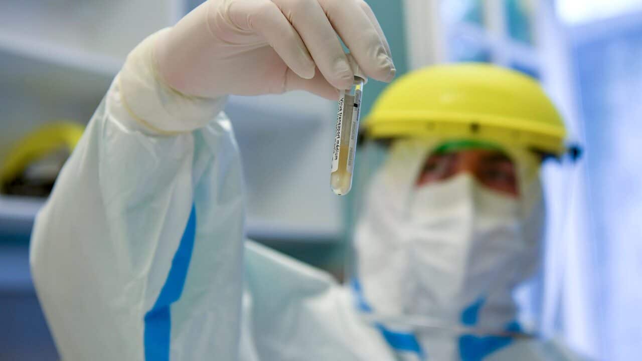 A file photo of a doctor wearing full protective gear holding up a COVID-19 swab sample.