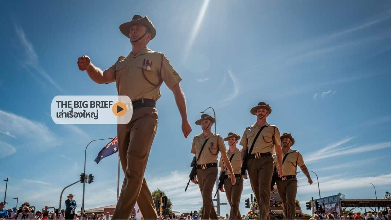 Copy of The Big Brief HEADER .jpg