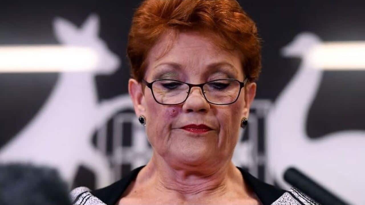 The latest Newspoll figures show support for One Nation has crashed to the benefit of Labor and the Coalition.