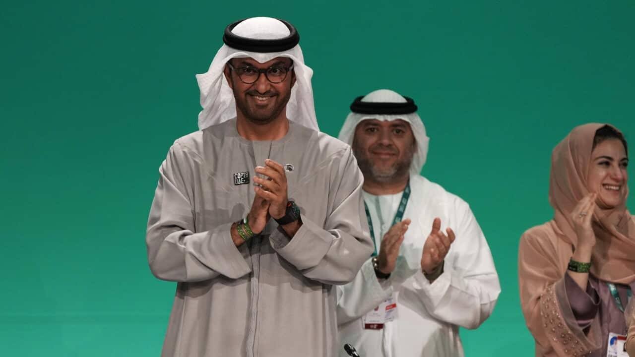 COP28 Climate Summit