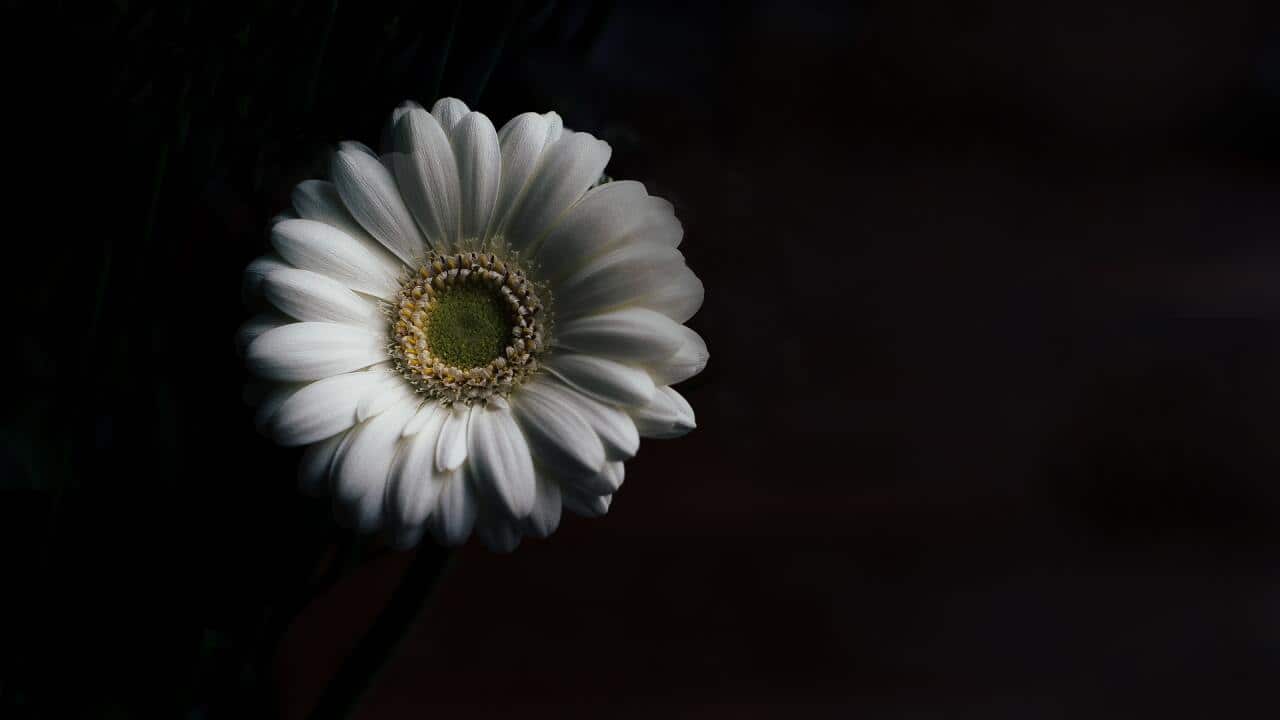 Duga lista poznatih ljudi koji su nas napustili