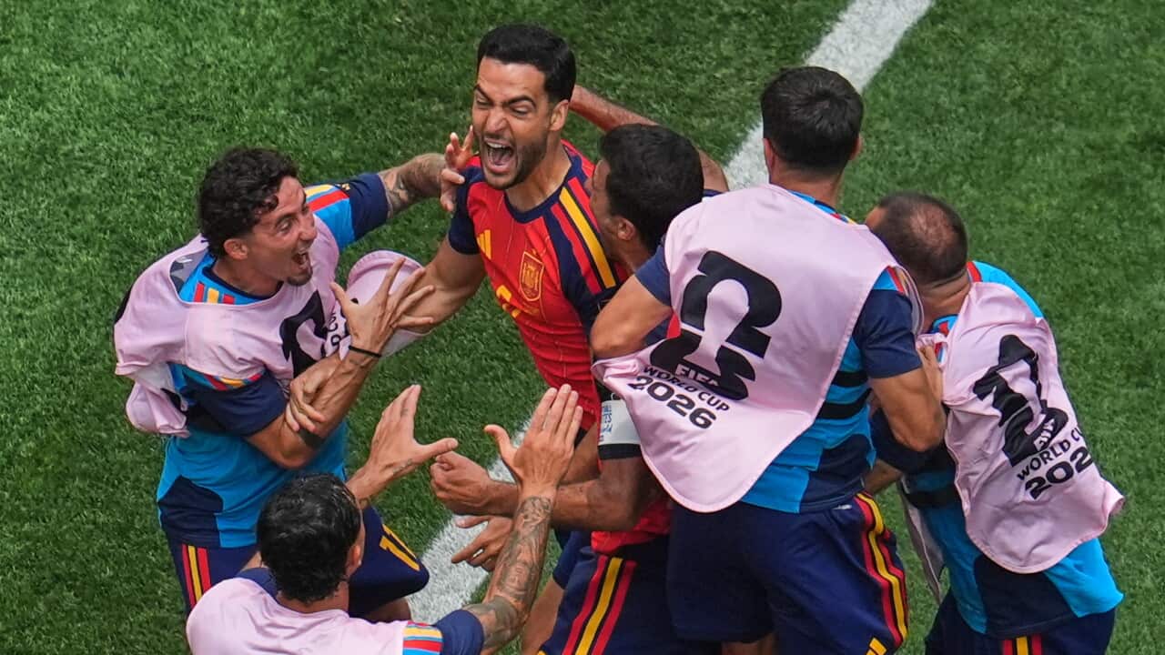 MIKEL MERINO WORLD CUP DAILY