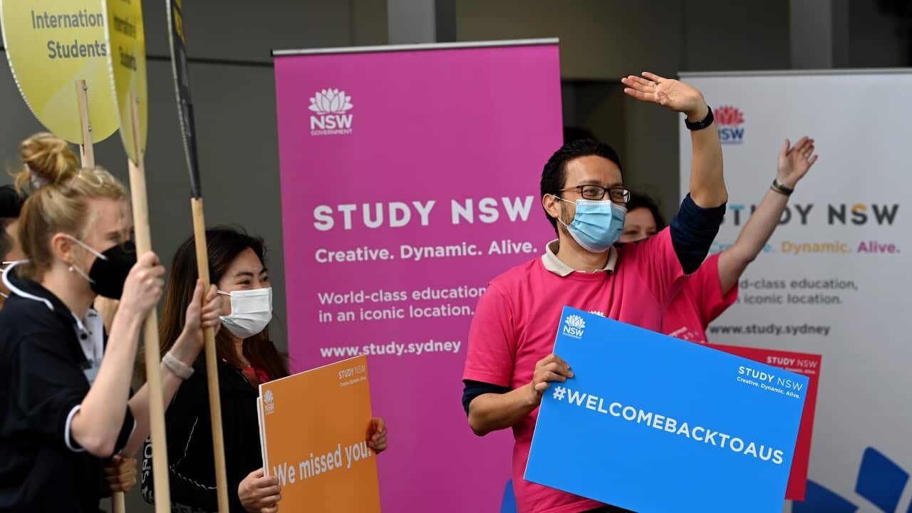 People hold placards at the airport