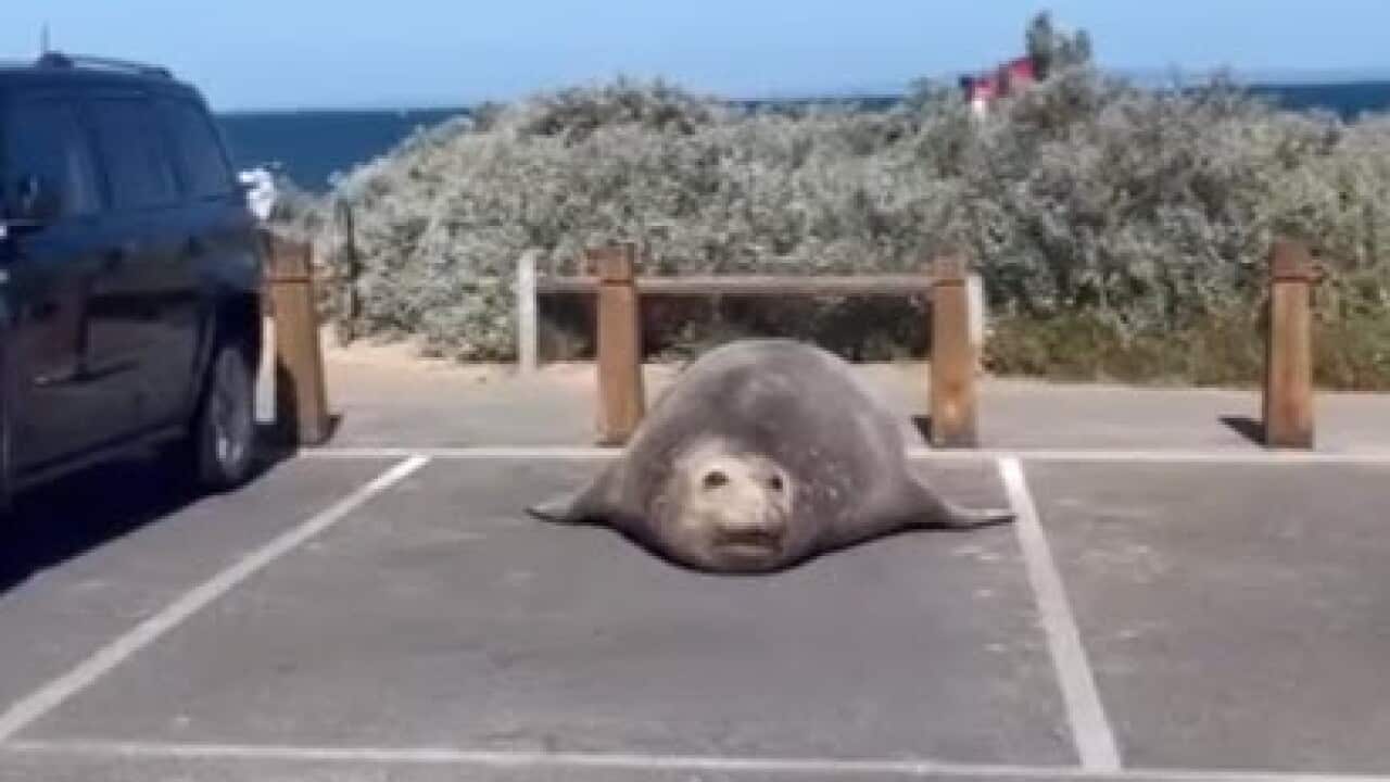 Image for read more article ''