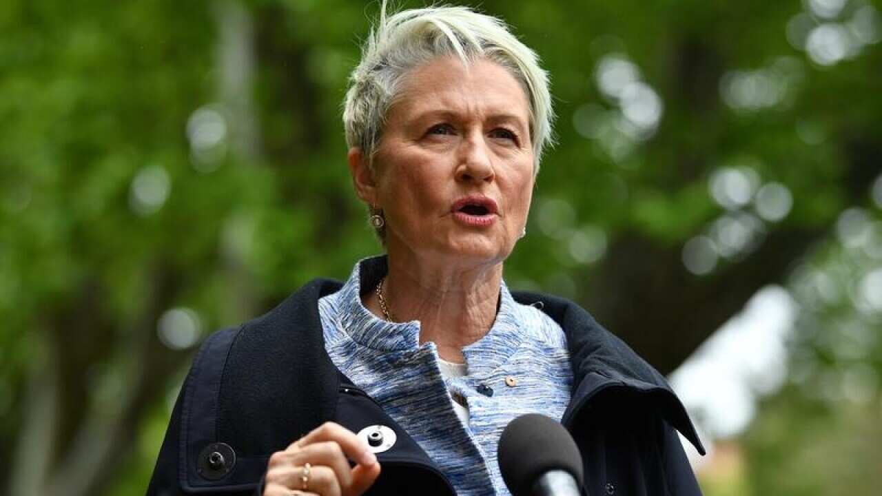 Kerryn Phelps is ahead in the polls for Wentworth.
