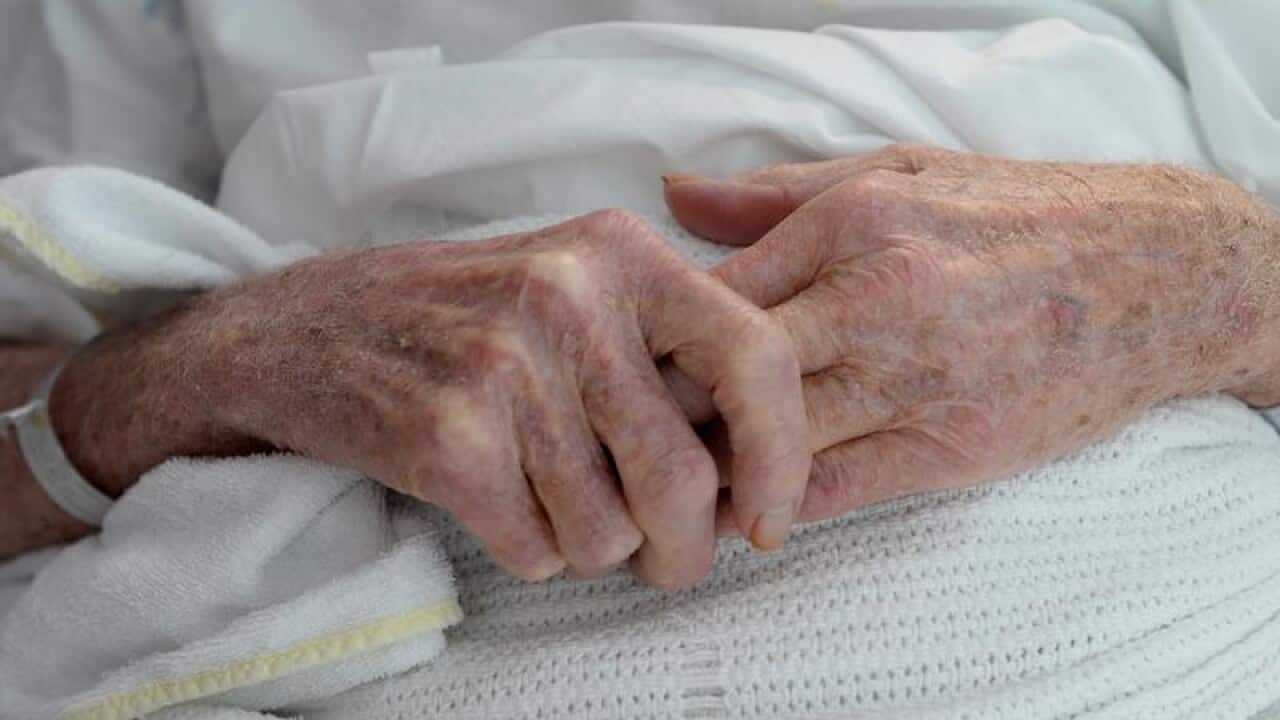 An elderly patient's hands with a hospital identification band .