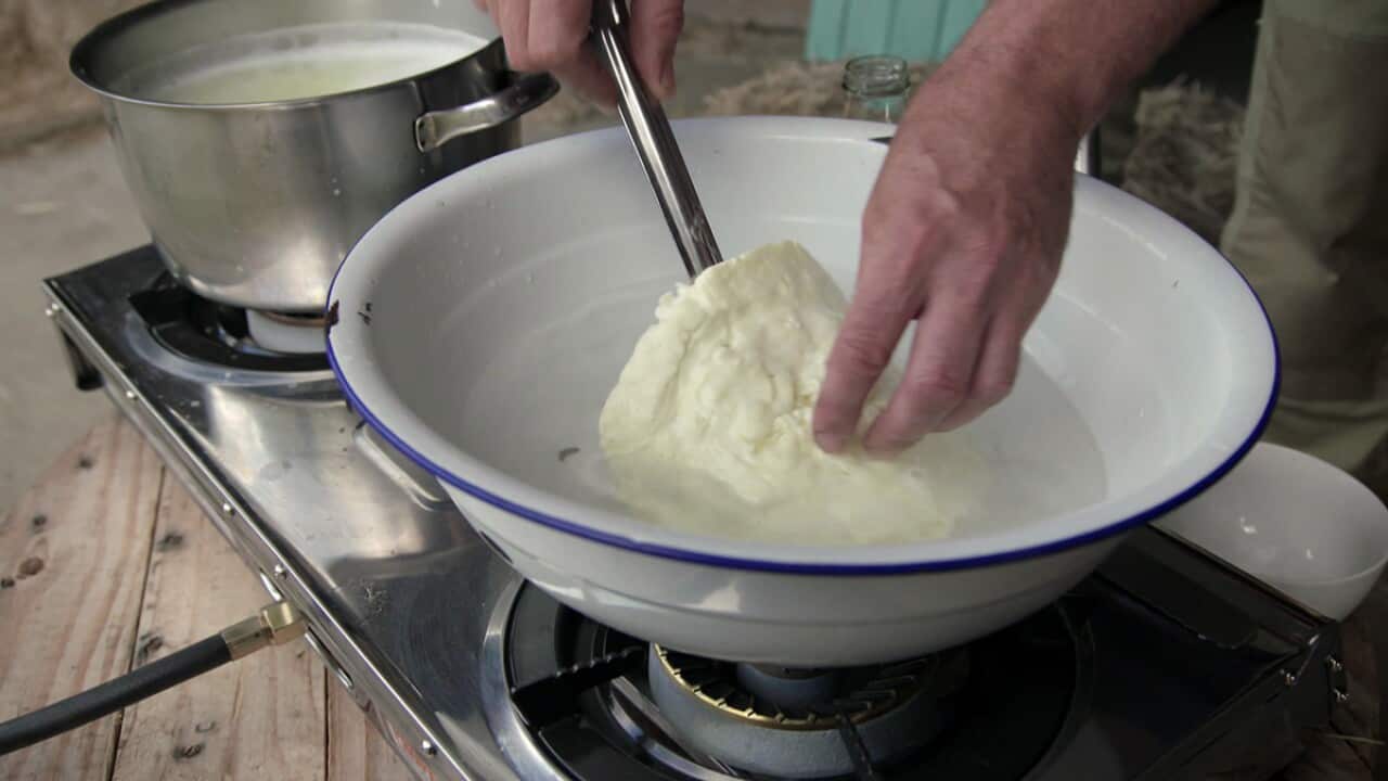 Homemade haloumi-image