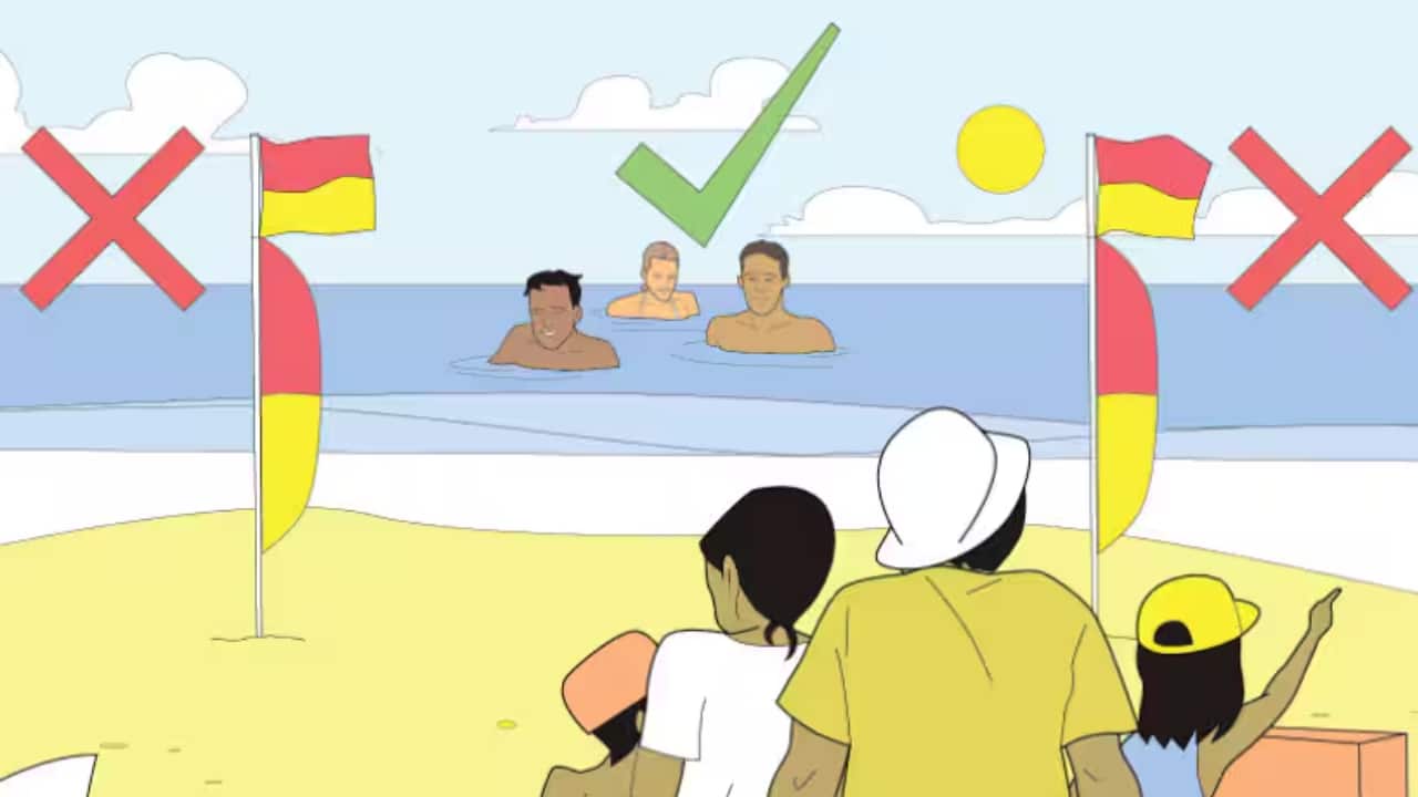 Surf Life savers.png