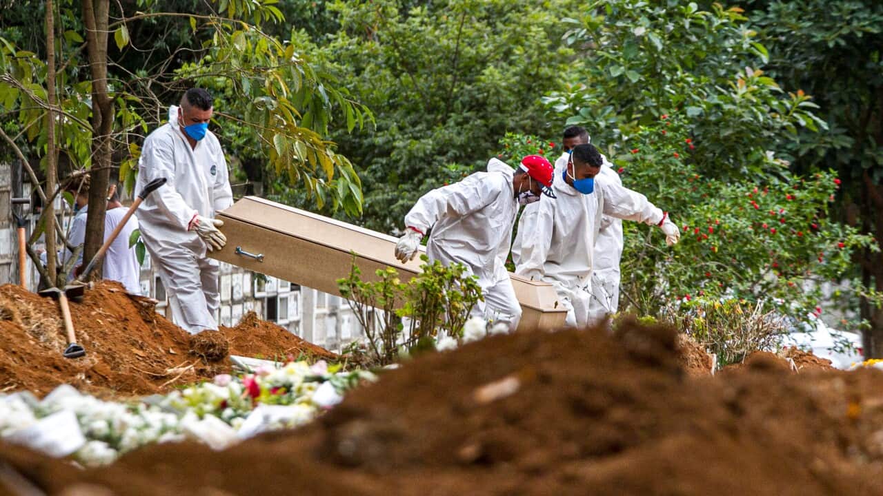 Brazil's COVID-19 death toll at new high.