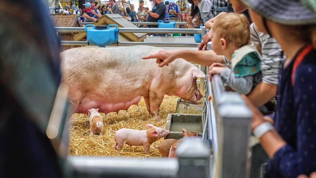 Image for read more article '更多內容'