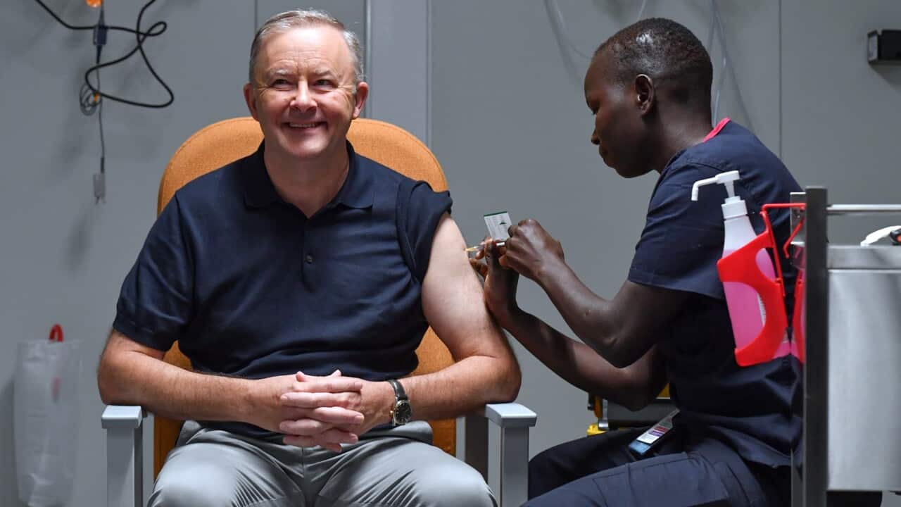 Leader of the Opposition Anthony Albanese receives his COVID-19 vaccine injection