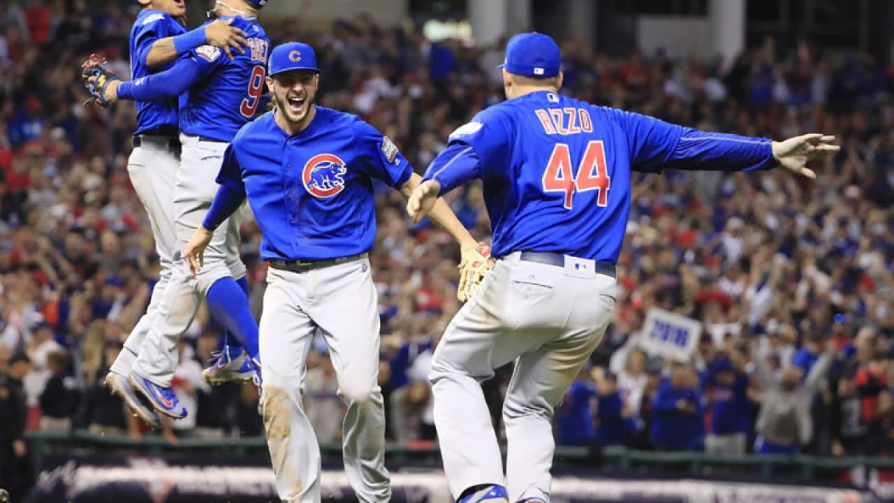 Chicago Cubs players celebrate