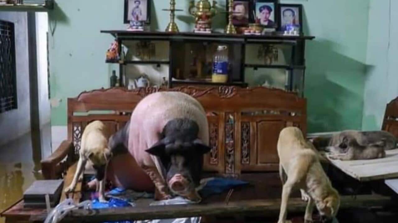 Image for read more article ''