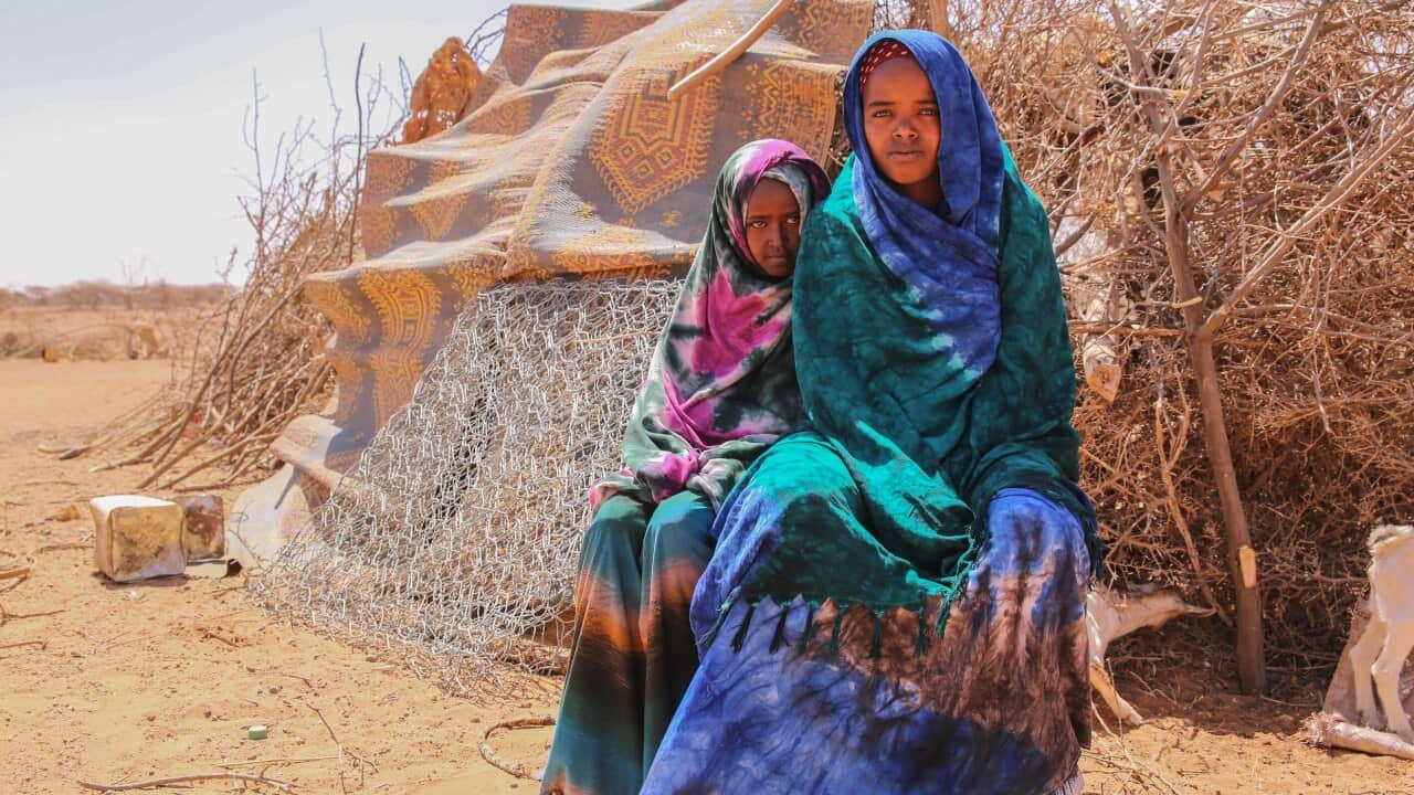 "فضيحة كبرى للعالم" المجاعة في زمن الكورونا