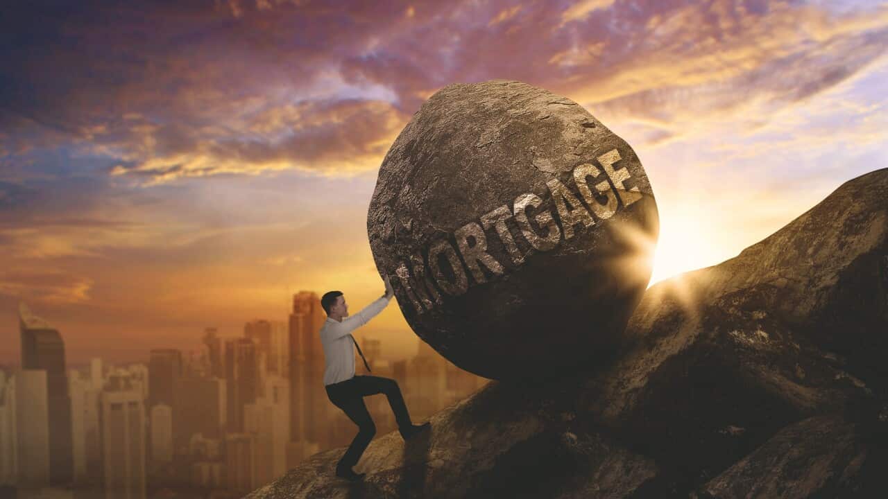 Image for read more article 'READ MORE'