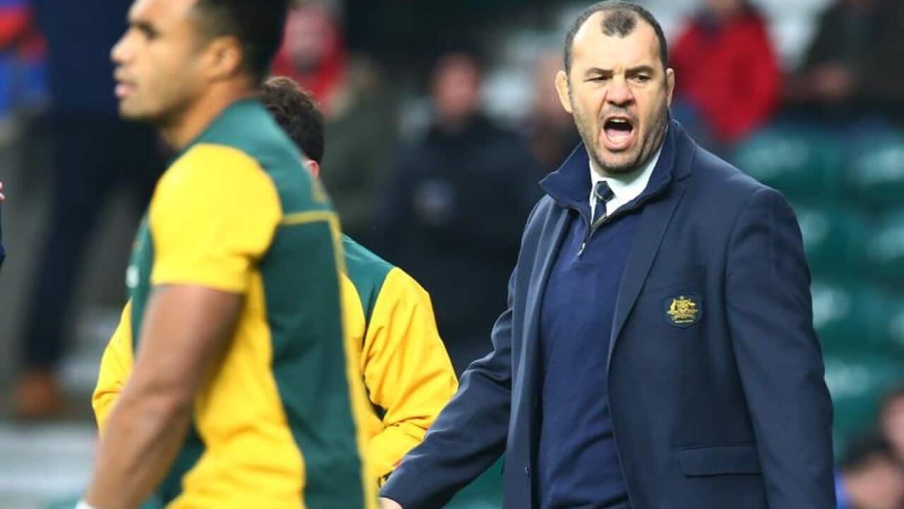 Wallabies