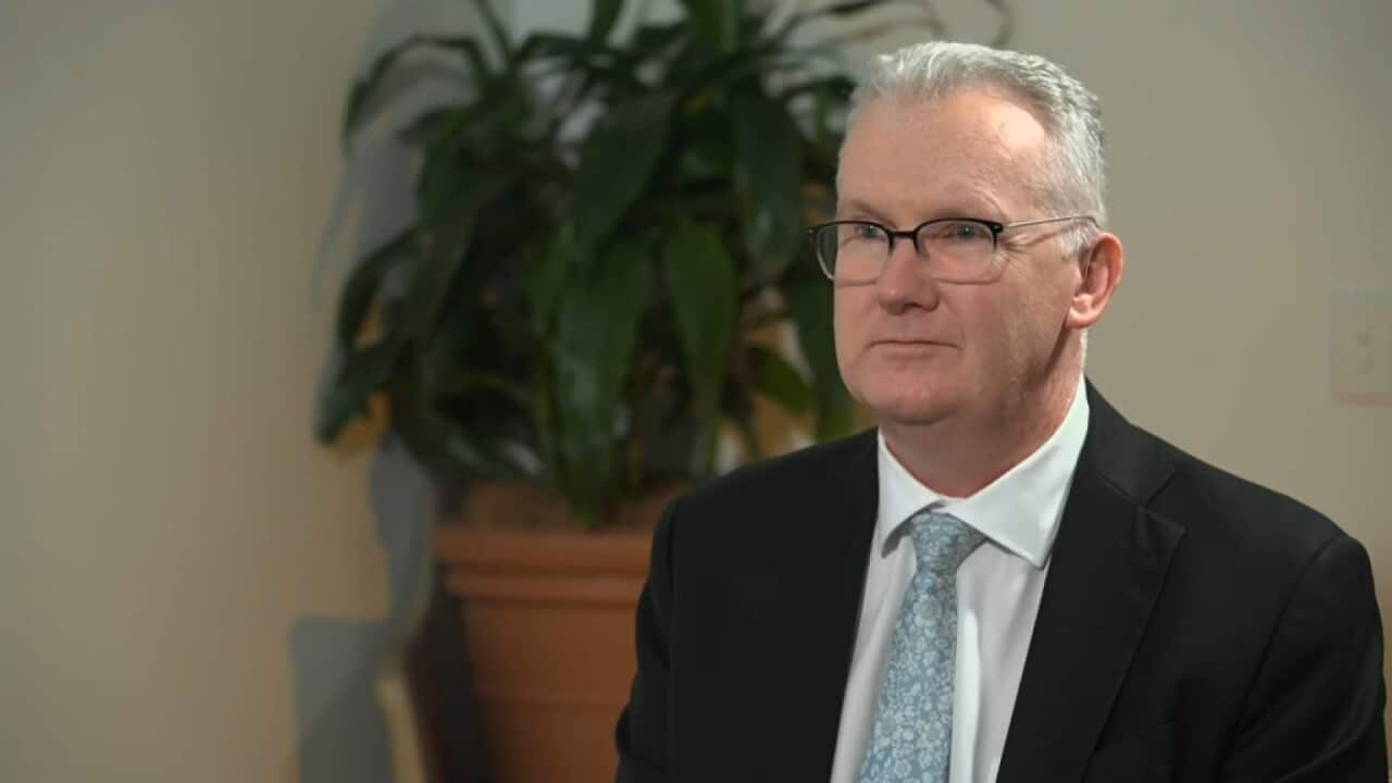 Tony Burke - SBS supplied