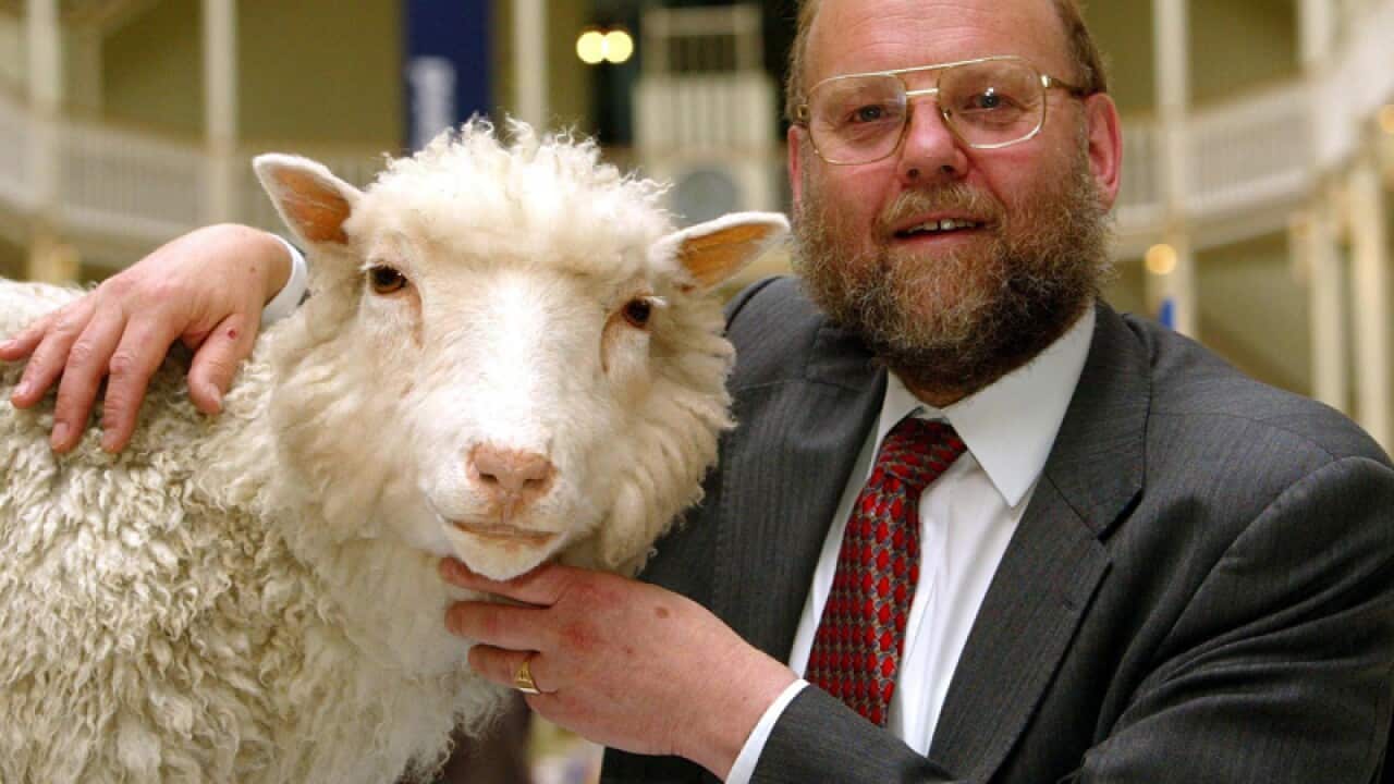 Professor Ian Wilmut of the Roslin Institute with Dolly the Sheep